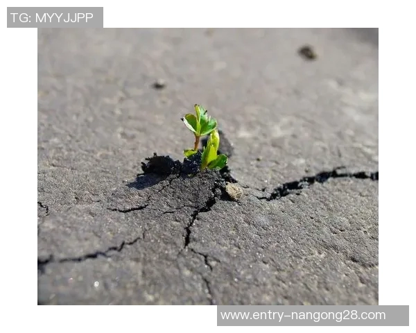 钟诚的奋斗历程与人生哲学探讨如何在逆境中成长与成功